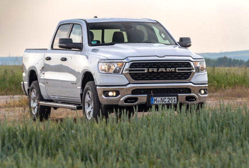 photo: Simon Palfrader©editorial use only