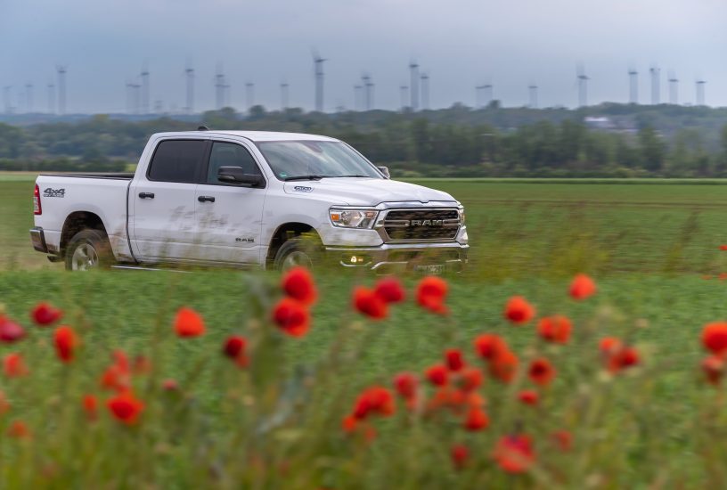 photo: Simon Palfrader©editorial use only