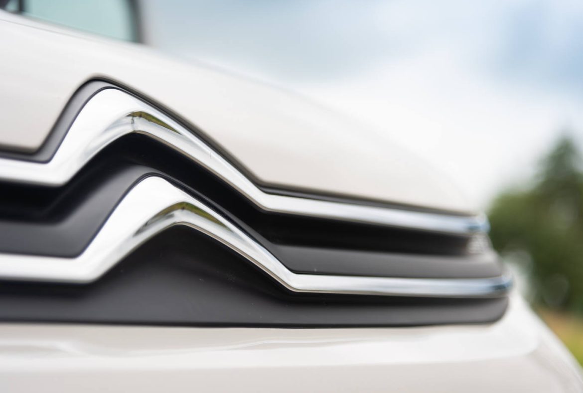 Citroen Berlingo mascherina frontale- 10