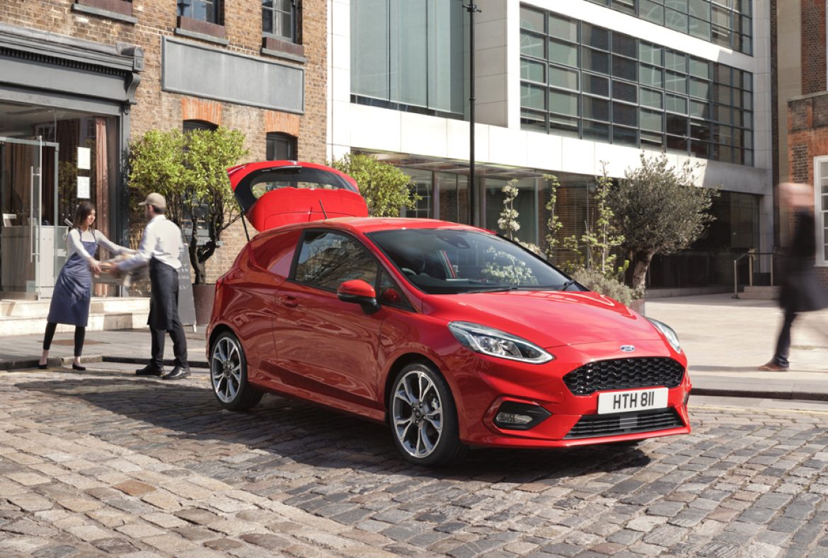 Ford Fiesta Van - 13