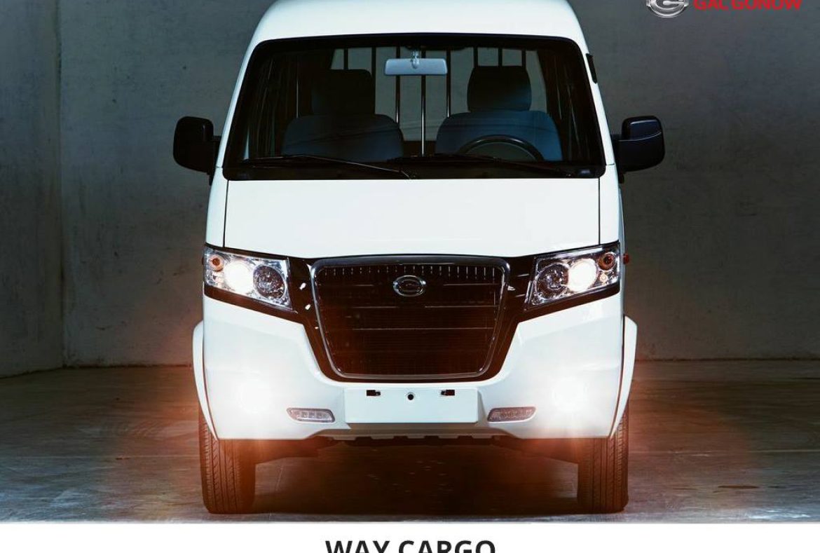 Gac Gonow Way Cago, frontale - 10