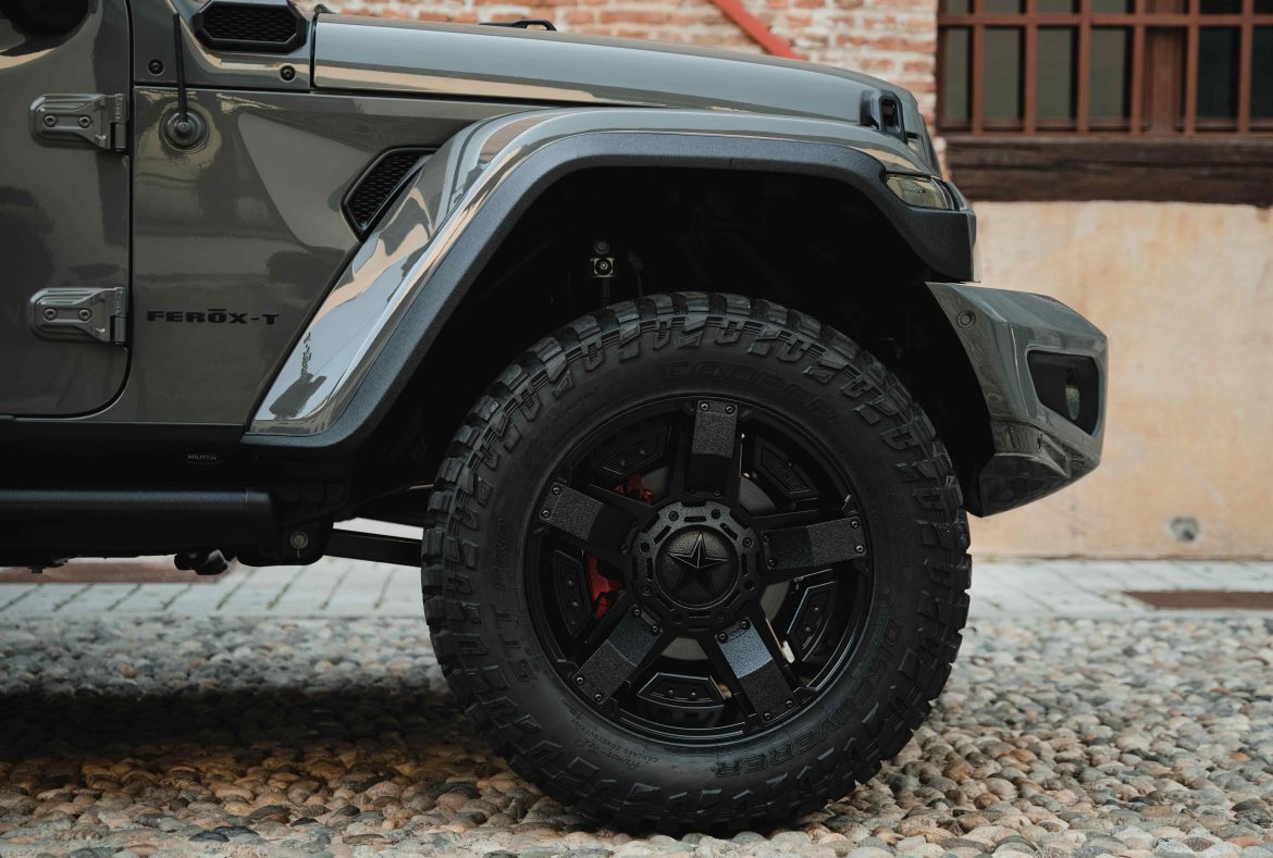 Militem Ferox_T Particolare cerchi