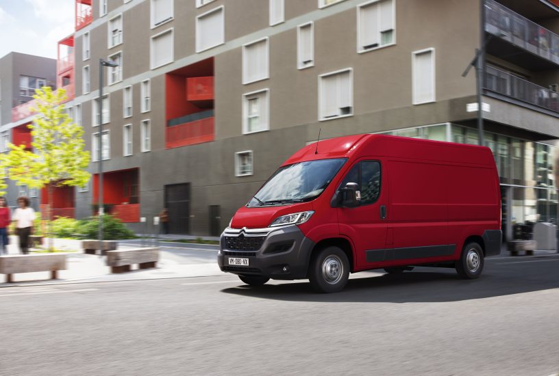 NUOVAGAMMACITRONJUMPERISPIRATAAIPROFESSIONISTI4.jpg (1)