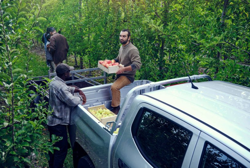 Nuovo PEUGEOT LANDTREK Pickup - 20