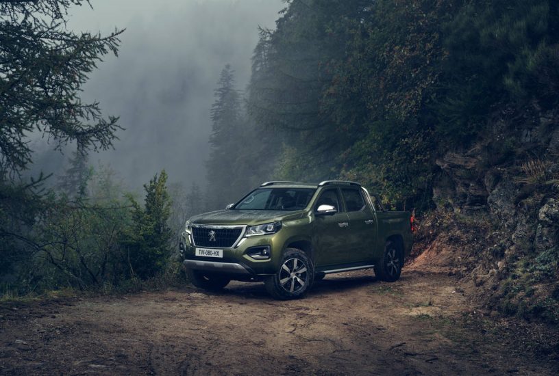 Nuovo PEUGEOT LANDTREK Pickup - 22