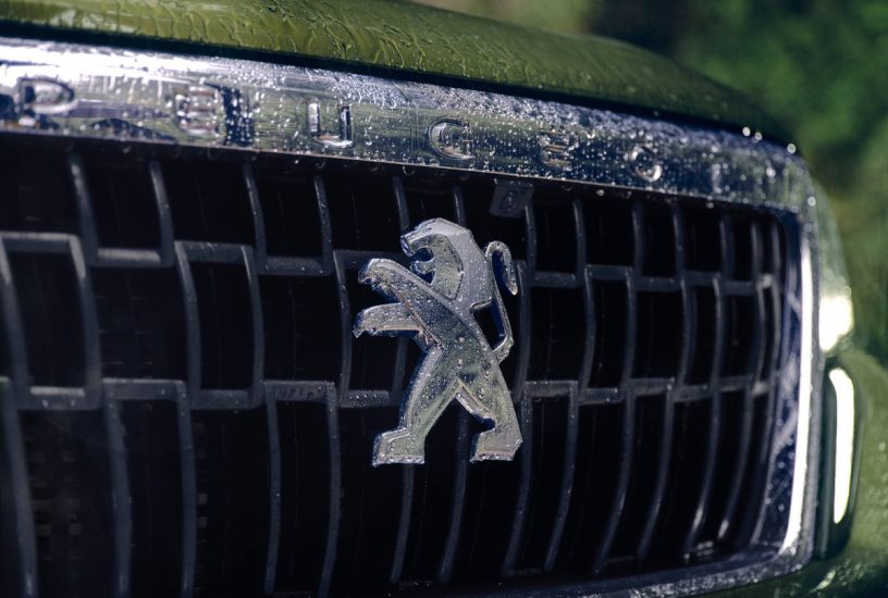 Nuovo PEUGEOT LANDTREK Pickup, mascherina anteriore - 11