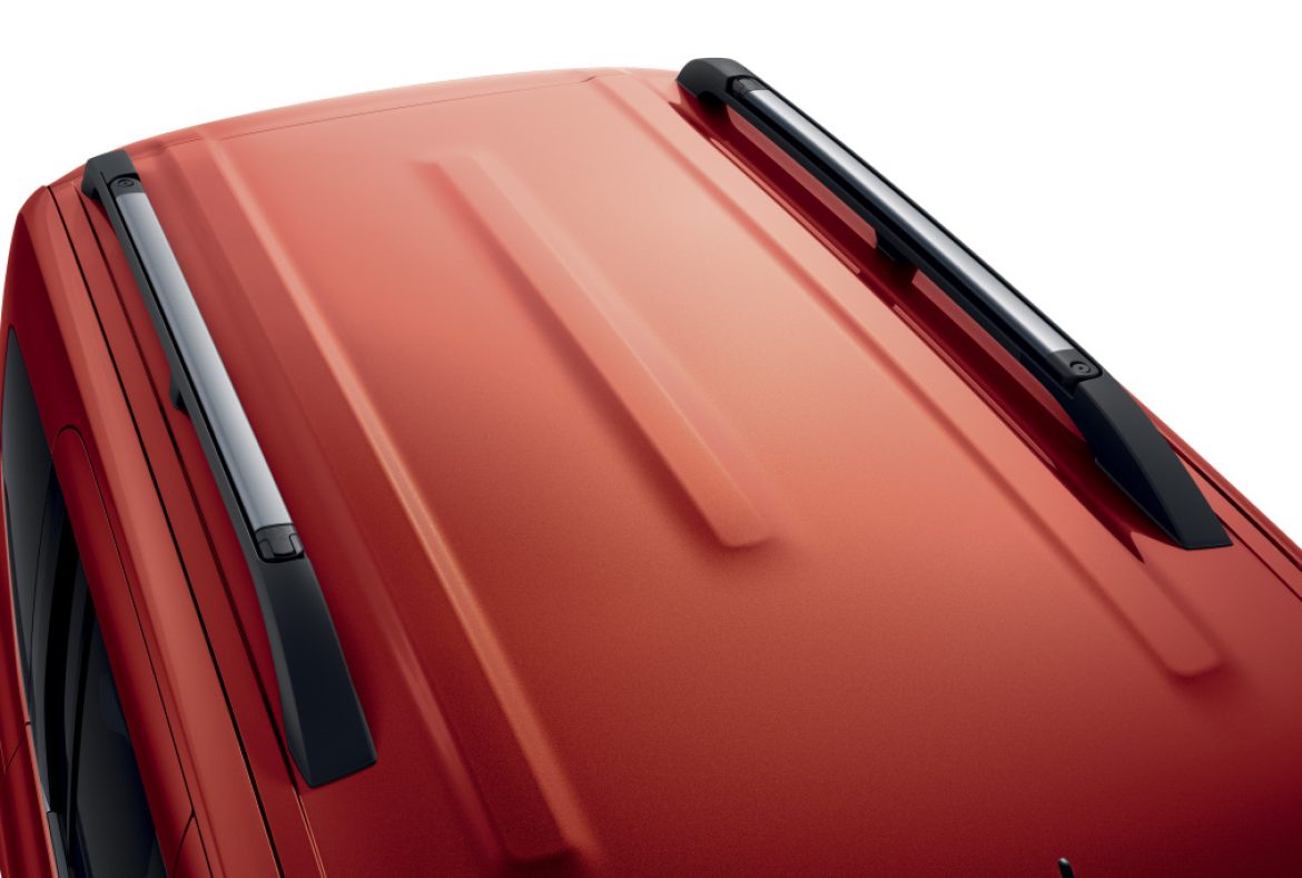 Renault Kangoo Life, dettaglio tetto- 25