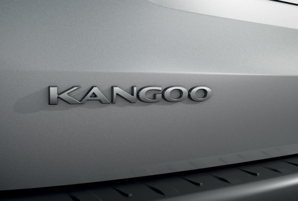 Renault Kangoo Van -30