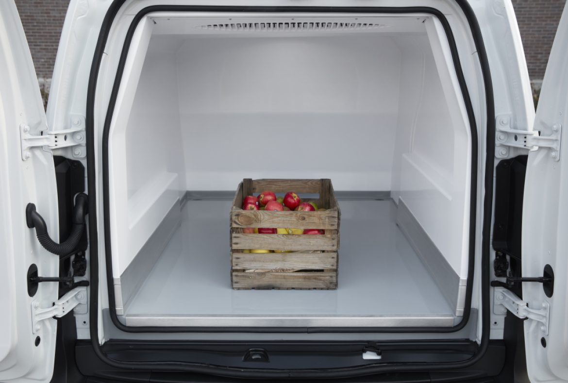 Renault Kangoo Van Frigo - 9