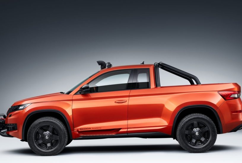 Skoda Mountiaq Concept profilo