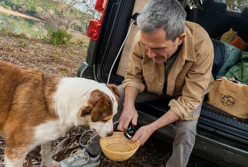 bathroom-holidays-2880x1620